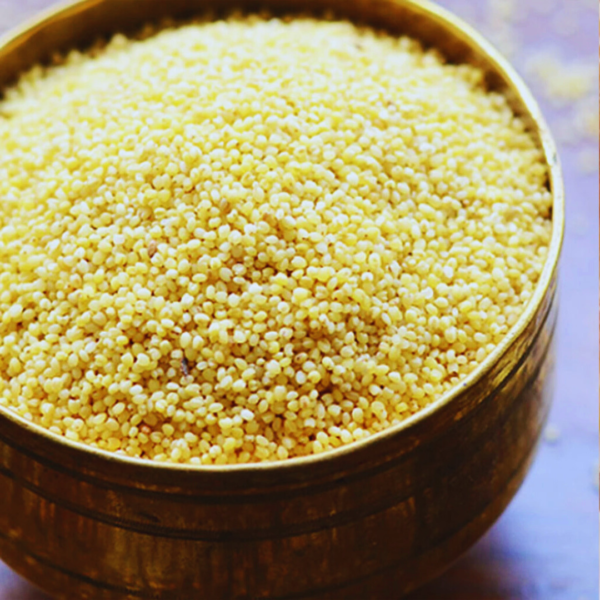 Foxtail Millet